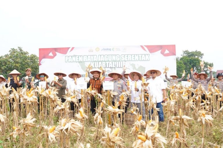 kapolda-riau-pimpin-panen-raya-jagung-serentak-kuartal-iii-di-pekanbaru-guz.jpeg