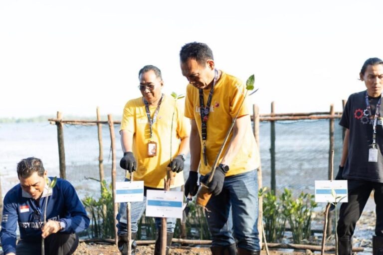 komitmen-berkelanjutan-linknet-tanam-7500-pohon-mangrove-di-pulau-dompak-kepri-cku.jpg