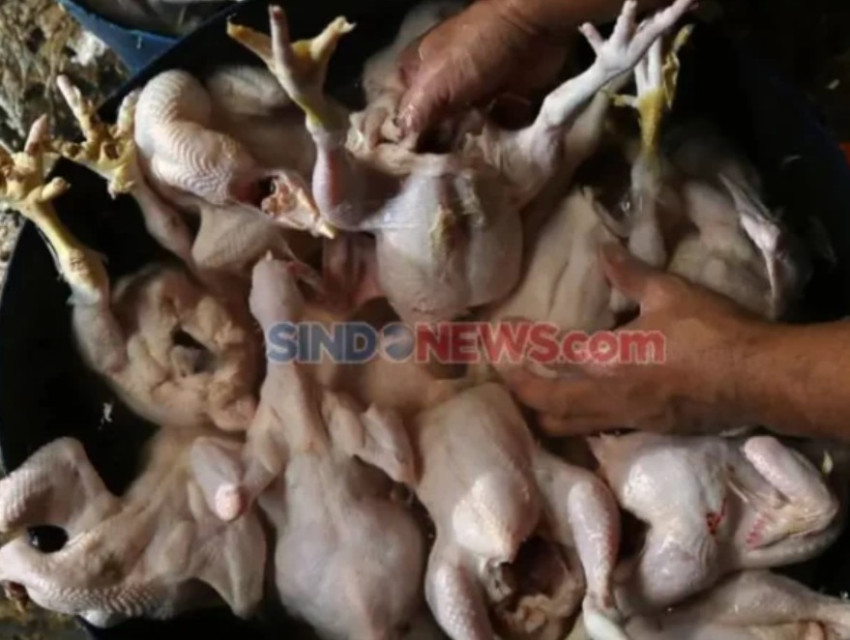 mendag-sangkal-harga-daging-ayam-naik-gegara-mbg-ili.jpeg