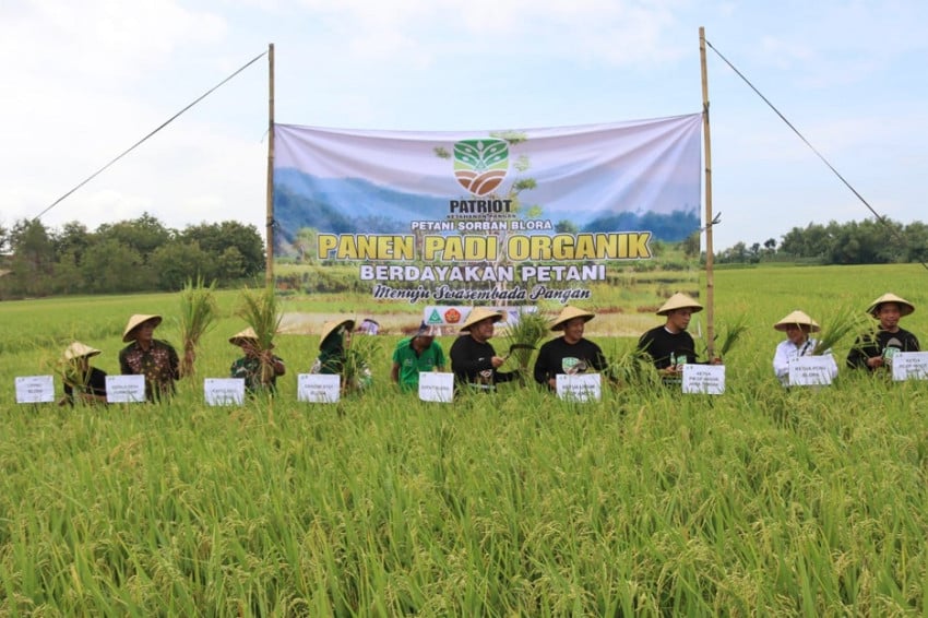 panen-padi-dan-tanam-pohon-kelapa-di-blora-gp-ansor-wujudkan-ketahanan-pangan-kos.jpg