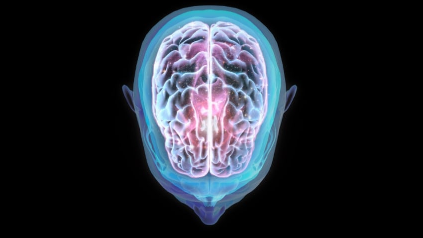 penelitian-temukan-fakta-penerbangan-ke-luar-angkasa-mengubah-posisi-otak-vlw.jpg