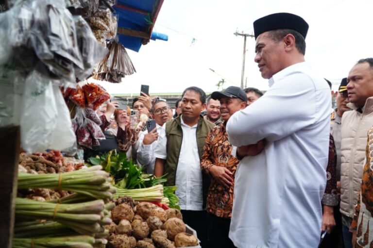 terima-laporan-harga-pangan-naik-amran-turun-langsung-ke-pasar-kebayoran-cva.jpg